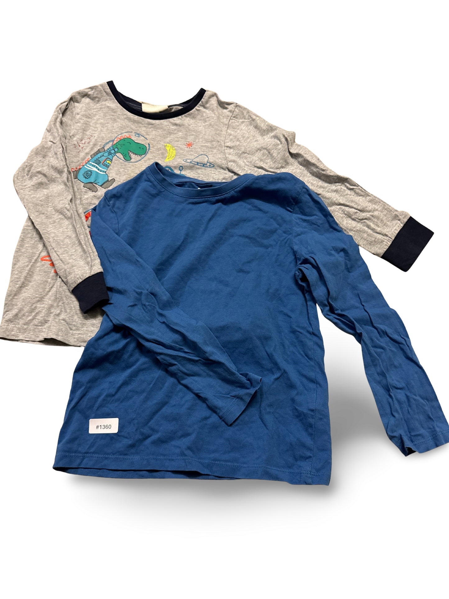 Langarmshirt mit Dinosaurier - Gr. 122