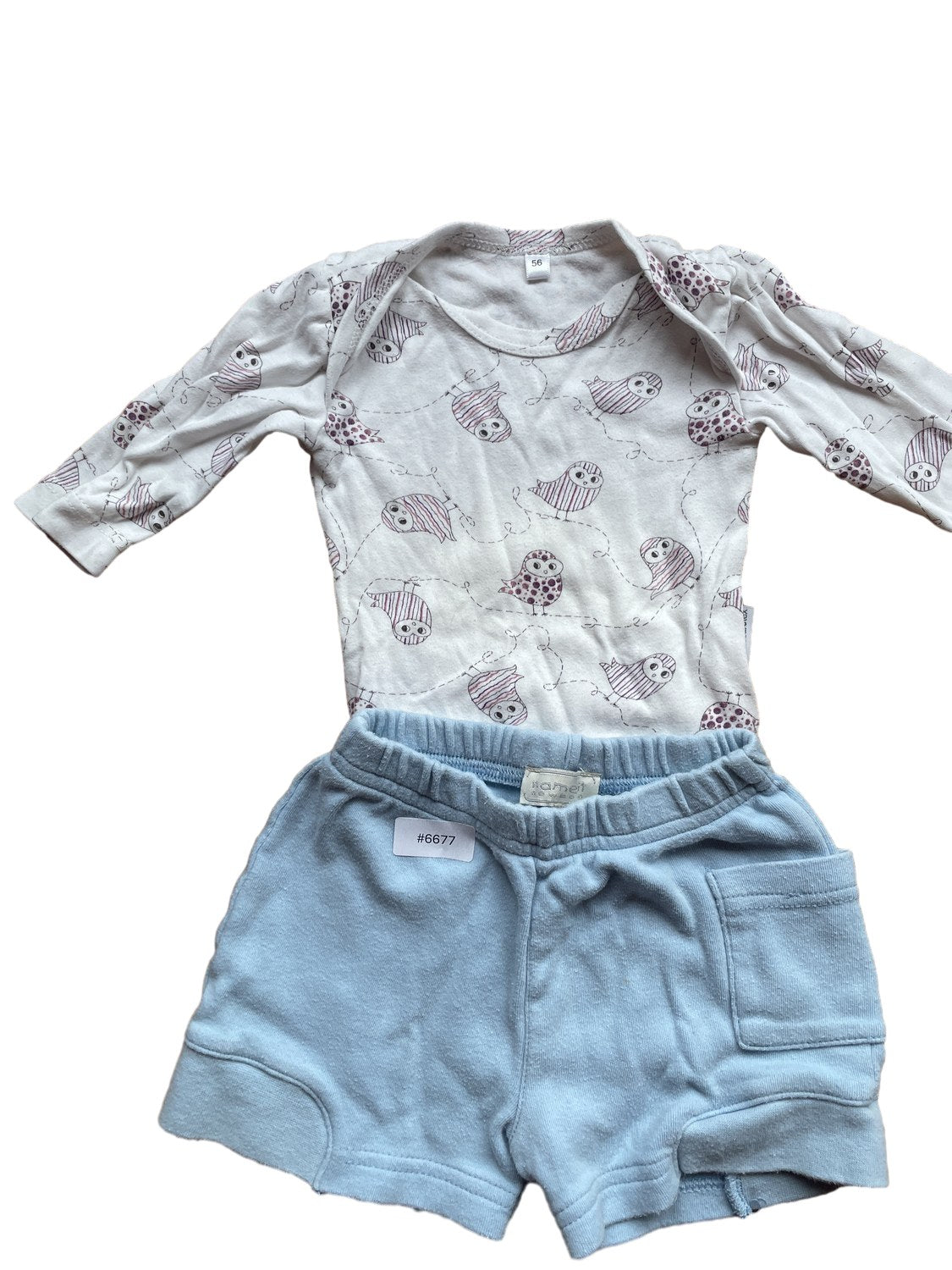 Set Langarmbody mit Shorts - Gr. 56