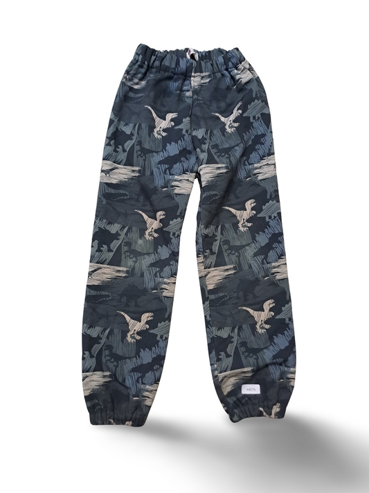 Dinosaurier Jogginghose - Gr. 122