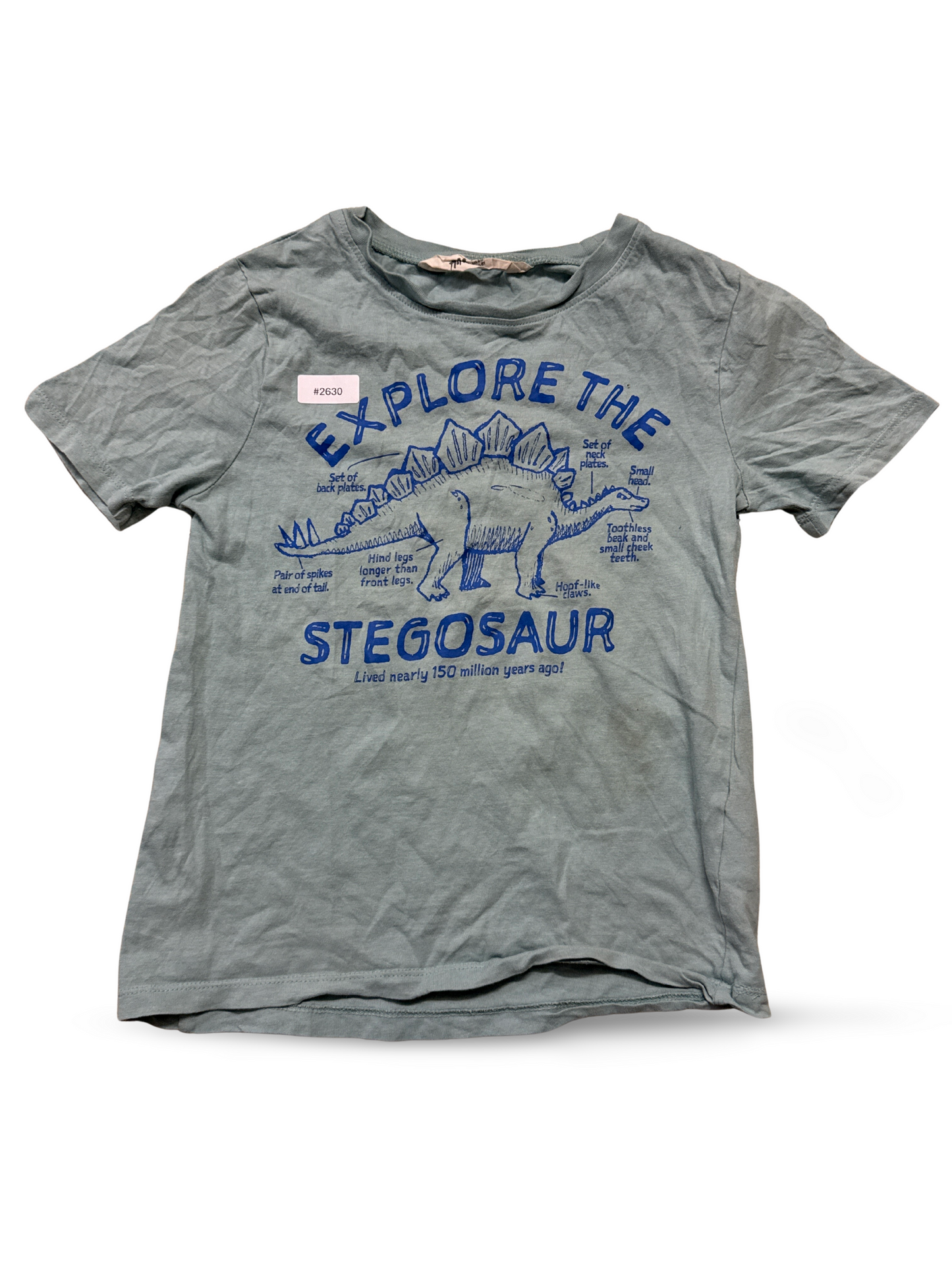 T-Shirt mit Stegosaurus-Print - Gr. 116